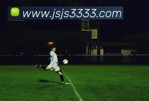 奖项证书
